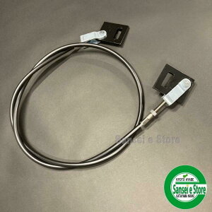 N{^ gN^[pi th~C[ASSY@vKmF