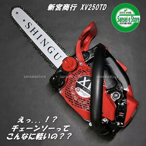 V{s GW `F\[ XvPbgm[Y 25cmdl XV250TDy850033-250-SNBz