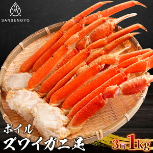 {CYCKj 1kg3@ON CY  킢@I