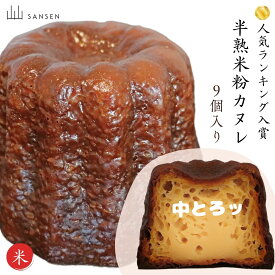 人気ランキング入賞 グルテンフリー 大きい 9個入り カヌ レ 手づくり ギフト 焼き菓子内祝い お祝い 手土産 山山 信州 長野 直送 無添加 国産 手作り プレゼント お買い物マラソン 喜ぶ　天スーパー 母の日 父の日 お中元　敬老の日　クリスマス
