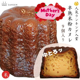人気ランキング入賞 カヌレ 母の日 グルテンフリー 大きい 9個入り カヌ レ 手づくり ギフト 焼き菓子内祝い お祝い 手土産 山山 信州 長野 直送 無添加 国産 手作り プレゼント お買い物マラソン 喜ぶ　天スーパー 母の日 父の日 お中元　敬老の日　クリスマス