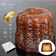人気ランキング入賞 半熟米粉カヌレ 9個入り グルテンフリー 大きい カヌ レ 手づくり ギフト 焼き菓子 …