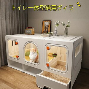 ybgp nEX L P[W gČ^ RpNg LnEX p 1[1rO1oX ̂t ^Lp