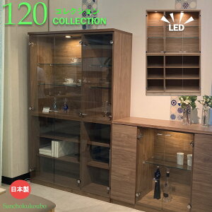 yJݒuzDWNS 120RNV 116cm RNV{[h TCh{[h rO{[h bN `FXg RNVP[X Lrlbg LED Cgt _ECg _p[t K