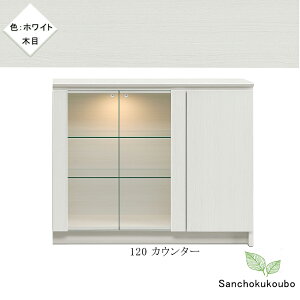 BRYL 120JE^[ 120cm TCh{[h RNV{[h RNV Lrlbg JE^[ rO{[h Lb`{[h `FXg LEDCgt _ECg fBXvC [ J