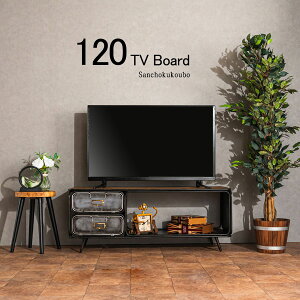 RIS 120er{[h er TV er{[h rO{[h 120cm yd I[vXy[X [t tbv C_XgA _[WH AeB[NƋ Be[W [Yh