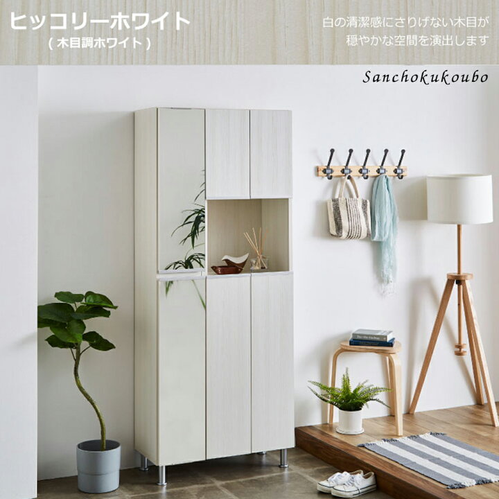 ○送料無料○ラージキャパシティシューズBoxミラー付 DBR（ルーバー 