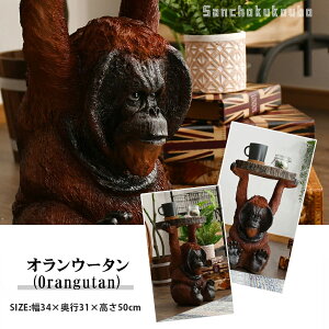 ANIMAL Aj}TChe[u 31cm TChe[u  Aj} ۂe[u rOe[u Z^[e[u iCge[u  ی^ ~` lC \t@ ԑ 11 e[u K[