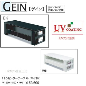 GEIN 120センターテーブル 正規ブランド UV塗装 マガジンラックが便利 リビングテーブル 産地直送価格