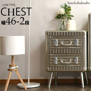 TM 幅46-2段チェスト 46チェスト キャビネット チェスト ローチェスト スリムチェスト2段 おしゃれ 幅46 46幅 コンパクト トランクケース風 収納家具 インダストリアル インスタ映え かわいい