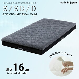 S SD D TCY 16Z` }bgX CgEF[u GAEF[u  AX[g}bNX s[gbv16 􂦂 Y |G` 邿}bgX ϋv ʋC xbh }b