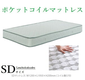 PCT Z~_u |PbgRC }bgX RC570P \tg^Cv SDTCY Yni xbg xbh }bg Â݂΂ 傤΂ ƗXvO ׏dU ̈U K 