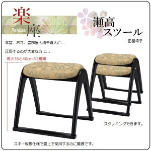 pXc[ ֎q 1rPii łPʂł̂ibg2ׁ̈j\i×@ʍ 36402ނ@XL[rׂ\  y Yni i [PR]