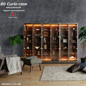 yJݒuzHELI-ON 80LI RNV LED 180 RNV{[h nC^Cv LEDCg Ɩ ㉺ Kuh EH[ibg Yni { Y i [PR] 10p