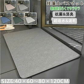 珪藻土バスマット40x60cm~ 80*120cm 大判 サイズ 珪藻土マット 風呂 バスマット 足ふきマット 速乾 珪藻土 キッチンマット 滑り止め 浴室 洗面所 北欧 抗菌 吸水