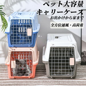 ybgL[P[X傫 P[X ybgL[ P[XybgL[P[X Lp p ybgpi ^ g~O h ʉ@ a@ hCu p nlY~ lR Ck y