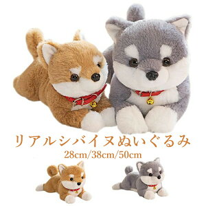 Č ʂ  Ck  VoCk ČObY  Vo̕܂  NbV   ̂ʂ G ii YQ NX a Mtg CeA