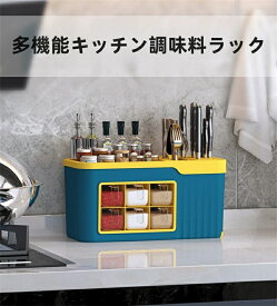 調味料収納 トトノ 引き出し用 調味料収納ボックスR （ 小物ケース 小物収納 収納ケース 調味料収納ケース 整理ケース 調味料入れ キッチン 収納 ツールケース キッチン収納ケース シンク収納 カトラリーケース ツールスタンド ）