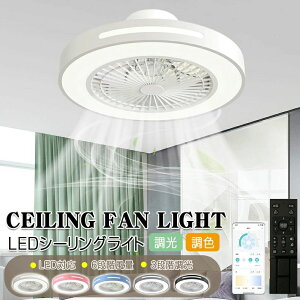 V[Ot@ V[Ot@Cg LED T[L[^[ V[OCg Px 8 10  F ʒ߉ 铔 t@t Cz Ɩ VƖ ȃGl ߓd ƒp 