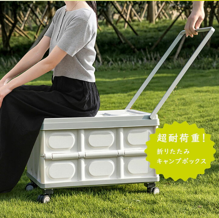 楽天市場】キャリーカート ショッピングカート ピクニック 折り畳み式 