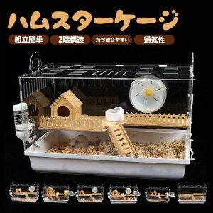 yAl1ʁIznX^[ P[W œK X^[CgP[W SʃNA  ^TCY P[W L ̐^ K ֗ ϋv ʂ悢 S[fnX^[ bg 