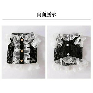 hbOEFA s[X ėp  [X s[X XJ[g hX ^Ngbv m[X[u ttXJ[g s[X L~\[ ybg t ĕ H ~ ̕