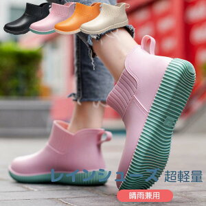 CV[Y fB[X y hV[Y JC CV[YV[g jp IV Cu[c K[fjO ~[C h ނ Ԍ ~J΍ 䕗 ʋ ʊw Jp