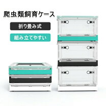 楽天市場】キャスター付き ボックス（爬虫類・両生類｜ペット・ペット 
