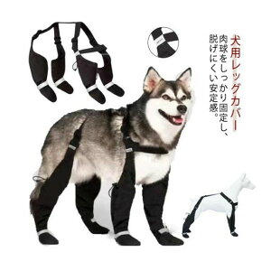 pbOJo[ pu[c Xy_[tppc ~ EȂ ^ ^ ߉\ ˃e[v Xgb` O l{ pc pV[Y ی  h~ h