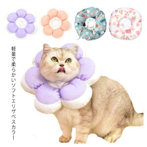 ȒP GJ \tg ی GJ y    \tg^CvGUxXJ[ yzGUxXJ[ NbV p  p  ~h~ Lp