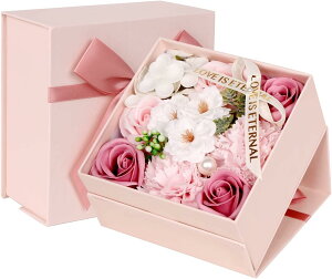 \[vt[ ̓ Mtg v[g V{t[  a LO zCgf[ Ǝ