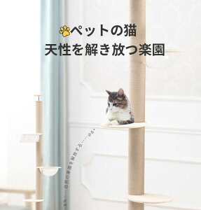 Lbg^[ Lpi ^s ܌ L ؐ ybg O[ L ^[ u ˂ CeA  |₷ ȒP LbgnEX  CeA bNX