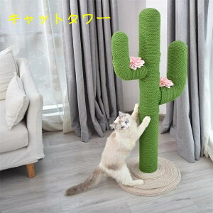 Lbg^[L^[Lp܂ƂT{e^lR|[芪߂ƂL̖ؑ^s萫gȒPqL^LVя