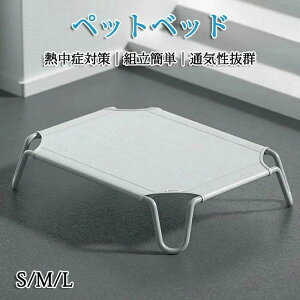 ybgxbh rt p Rbg ʋCQ Ȃ ʂǂ ybgpi Lvxbh  xbh nbN RpNg[ |[^u ^ xbh Lv ې􂢉\ 