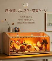 楽天市場】爬虫類 ケージ 90cmの通販