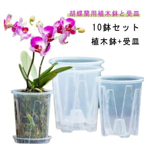 植木鉢 10鉢セット 蝶蘭 植木鉢 透明 穴付き プラスチック 蘭の鉢 胡蝶蘭鉢 洋蘭鉢 受皿付き 屋内 屋外 胡蝶蘭の植え替え オーキッドポット 観葉植物 多肉植物 育苗ポット プランター 保育園