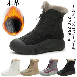 LeBOXm[u[c fB[X v ~ h nCJbgV[Y LeBOu[c h N V[gu[c 5cm ϖ ʋC Xm[u[c ۉ [gu[c r