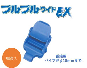 rj[nEXpAvvChEX Ԑp50Zbg