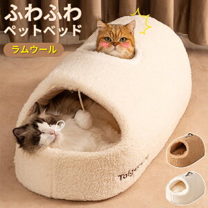 yTz~K E[ LP[W  TCY ۉ O\ 􂦂 ~ Lxbh Lp₷݃R S 