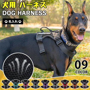 yz  n[lX O  l[  qD ^ Ȃ ȒP  CjV h~ ^ ^ U o AEghA qh~ Ԕ ʋC iC