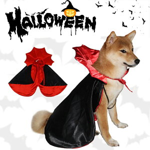 ynEBzybgp @pCAP[v  L }g RX`[ zS ϐg 킢 RXv