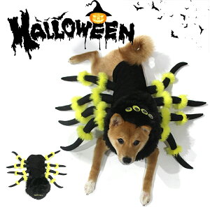 ynEBzybgp NϐgRX`[ sCŉ  L RXv Sgϐg 8{ X^[ ߑ 킢