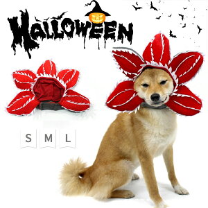 ynEBzybgp pbNt[ }C[^[  L 蕨  킢 ϐg X^[  ȒP