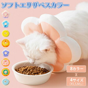 GUxXJ[ \tg  rߖh~ ybg  L p NbV h[ic ی p ^ ȒP xs s m l xl TCY 킢 Lp lR p  ObY ybgpi