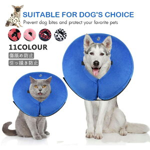 GUxXJ[ Lp ^p GUxXT[N pEFA pi ی p̃PA yʏ_炩 r