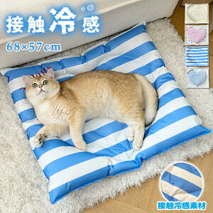 ybgxbh ėp ⊴ L xbh 􂦂 N[ ybgpi N[ybgxbh Ђ}bg ybg ڐG⊴f L q ^ ^ɓKp pNbV ėp h ybgxbh