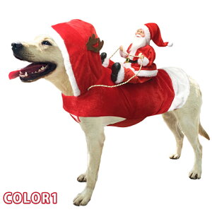 uԕiۏ؁v y T^ fI z  ~ t[X ӂӂ giJC RXv H ^ ObY g p[eB[ T^N[X ybg m 