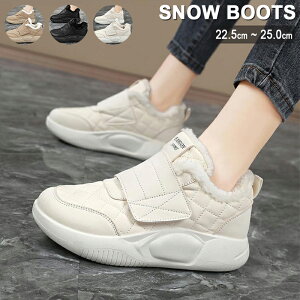 Xm[u[c fB[X hV[Y h Ȃ V[gu[c Xm[V[Y y ~ AEghA C ȌC ~p h ےg EC^[V[Y ϖ  Ռz 