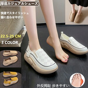 2023 EhgD胍[t@[AJWAV[Y fB[X 4cm Od ₷ lԍHw [t@[ y ~ r ʋCK L ʋC t  ꃍ[t@