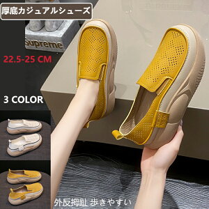 EhgD胍[t@[ JWAV[Y fB[X Od ₷ [t@[ y ~ r ʋCK L ʋC t  ꃍ[t@
